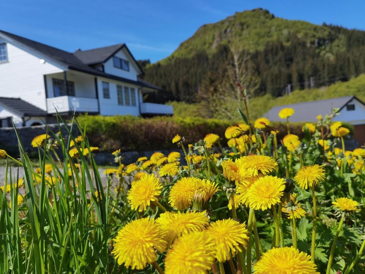 Banpim Hillside Lofoten With Jacusszi Gravdal  Екстериор снимка